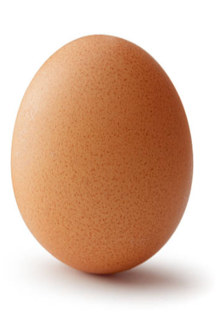 One Egg